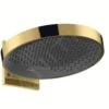 Hansgrohe Rainfinity - Kopfbrause 360 Mit Anschluss, 1 Strahlart, Gold Poliert 26230990