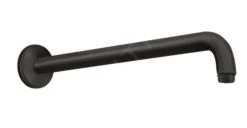 Hansgrohe Aktiva - Duscharm, 389 Mm, Matt Schwarz 27413670