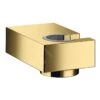 Hansgrohe Brausehalter - Wandbrausehalter Porter E, Gold Poliert 28387990
