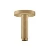 Hansgrohe Zubehör - Deckenanschluss S 100 Mm, Bronze Gebürstet 27393140