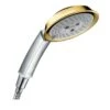 Hansgrohe Raindance Classic - Handbrause 100 Air, 3 Strahlarten, Chrom/Gold 28548090