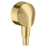 Hansgrohe Fixfit - Wandanschluss E Ohne Rückflussverhinderer, Gold Poliert 27454990