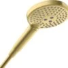 Hansgrohe Axor Handbrause 26050950 Innenliegende Wasserführung, Brushed Brass