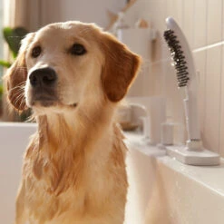 Hansgrohe DogShower Hundebrause 3jet 26640700 Mattweiss -Hansgrohe Store hansgrohe DogShower Hundebrause 3jet 26640700 mattweiss 2